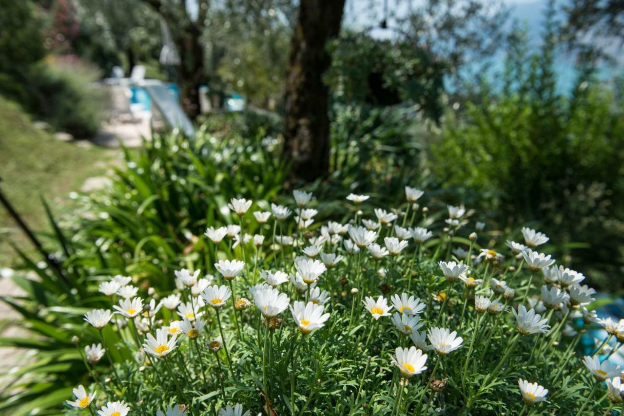 Villa مالتشيزينيه المظهر الخارجي الصورة